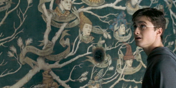 สายเลือด